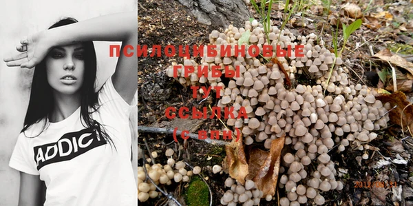 спиды Арсеньев