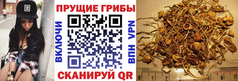 Псилоцибиновые грибы Magic Shrooms  Артёмовск 
